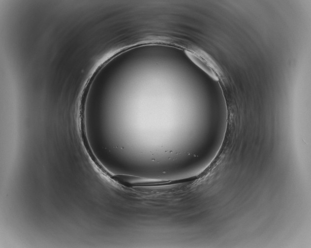 X0000116261143200911301148