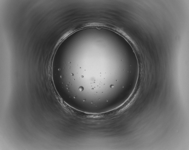 X0000116261145200911301148