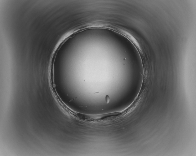 X0000116261146200911301148