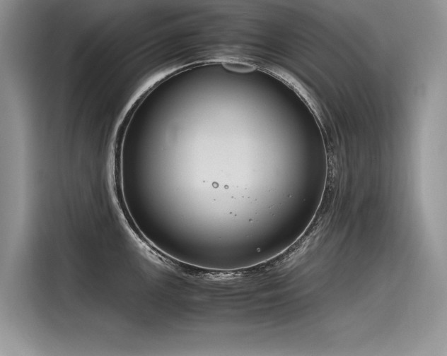 X0000116261147200911301148