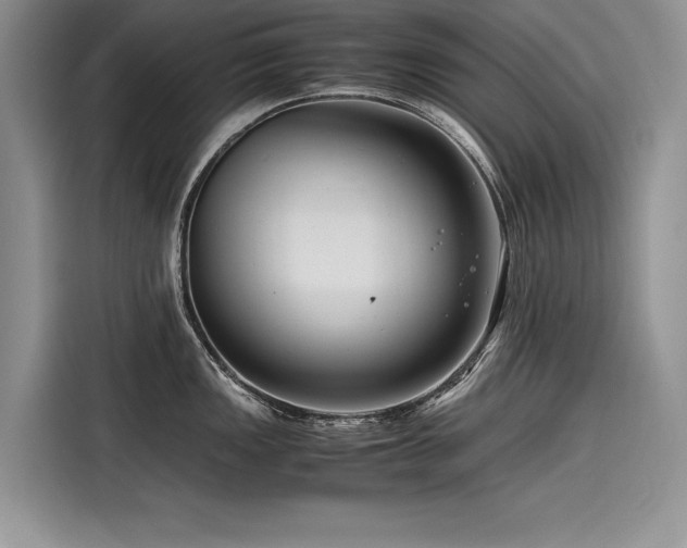 X0000116261149200911301148