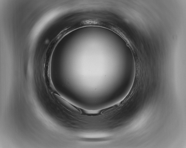 X0000116261151200911301148