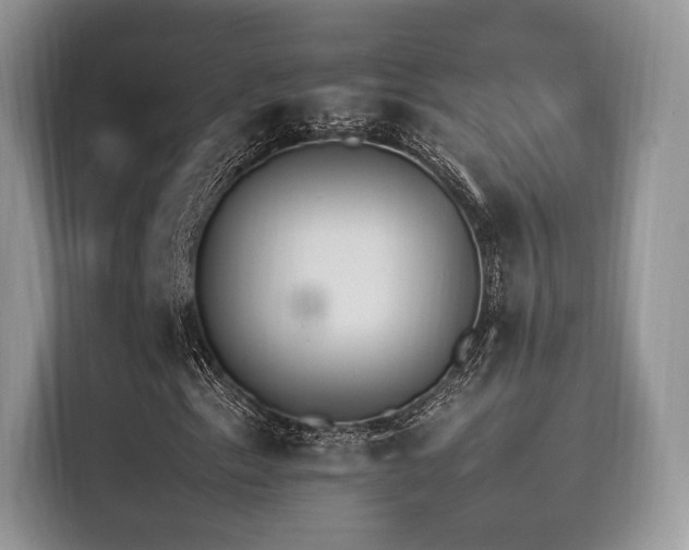 X0000116261153200911301147