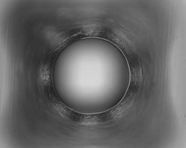 X0000116261154200911301147