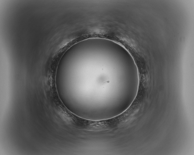 X0000116261159200911301147