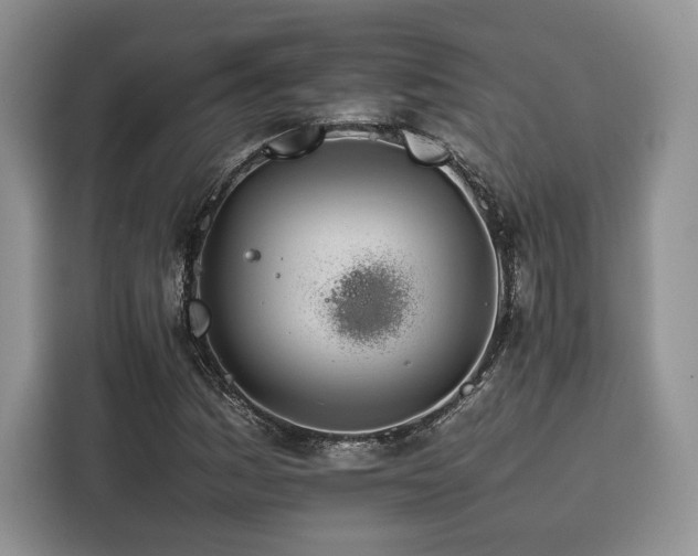X0000116261161200911301147