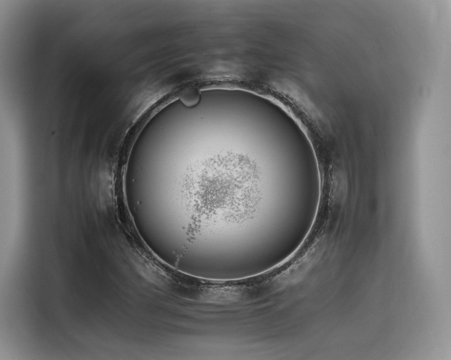 X0000116261162200911301147
