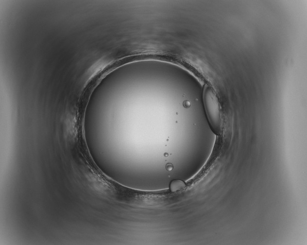 X0000116261163200911301147