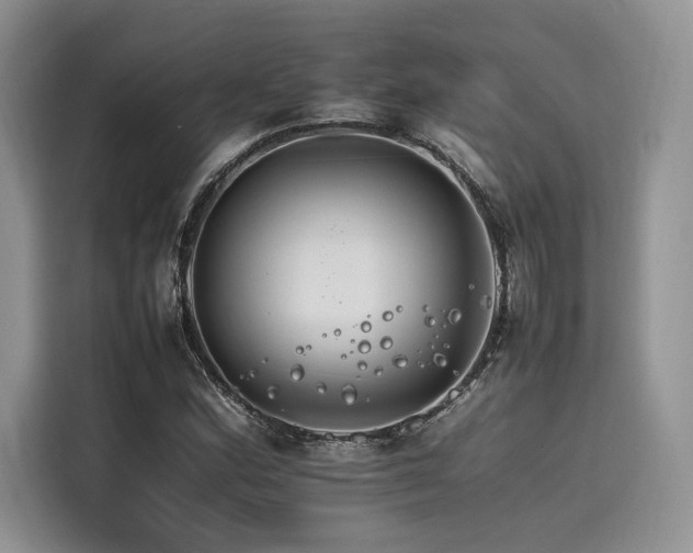 X0000116261164200911301147