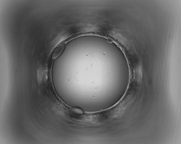 X0000116261165200911301147