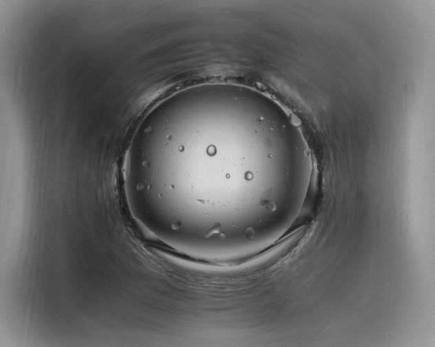 X0000116261169200911301147