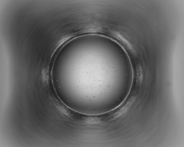 X0000116261170200911301147