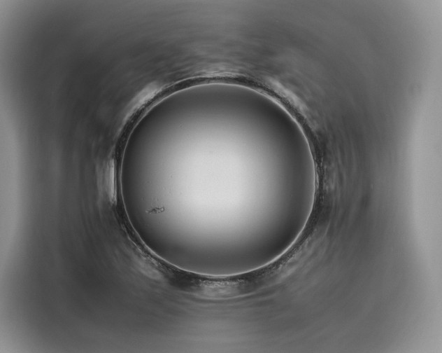 X0000116261171200911301147