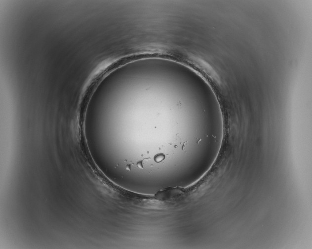 X0000116261172200911301147