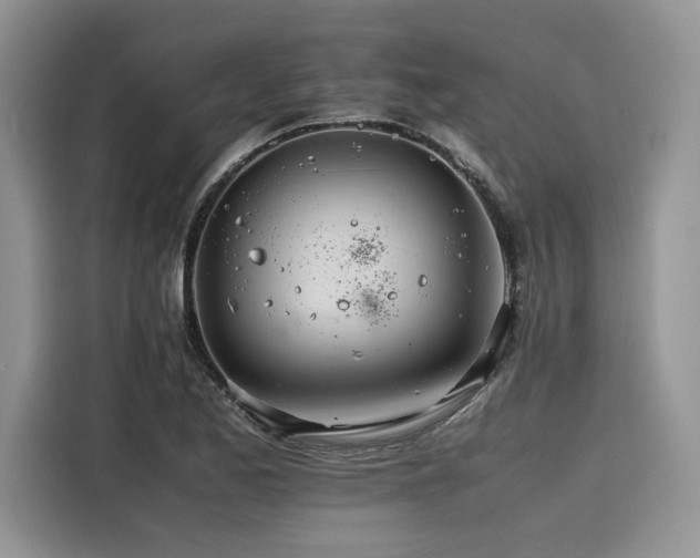X0000116261173200911301147