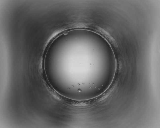 X0000116261174200911301147