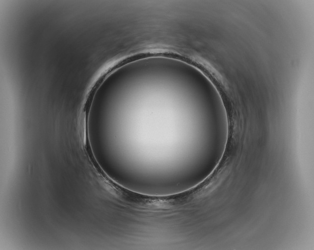 X0000116261175200911301147