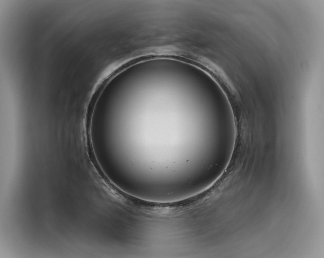 X0000116261176200911301147