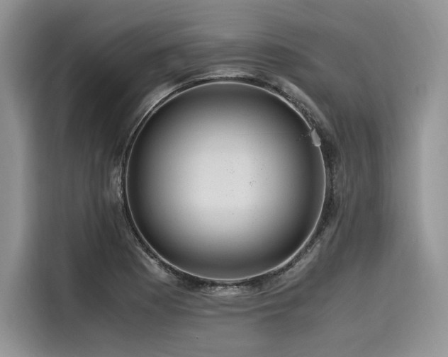 X0000116261177200911301147