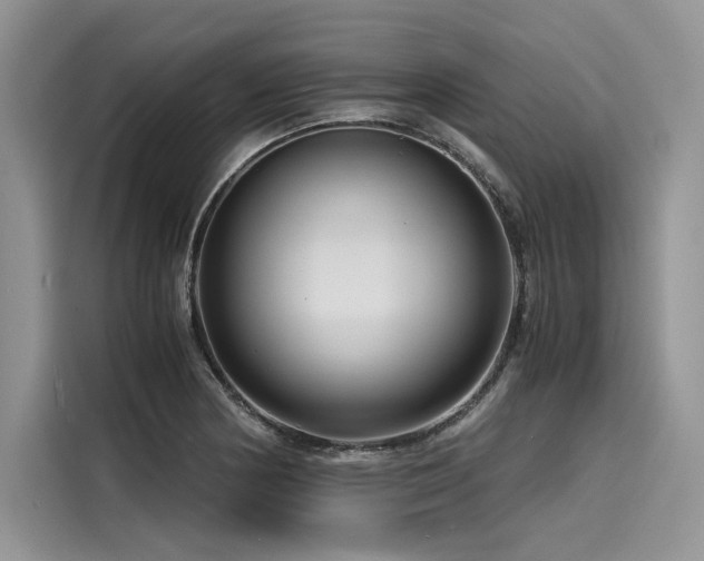 X0000116261178200911301147