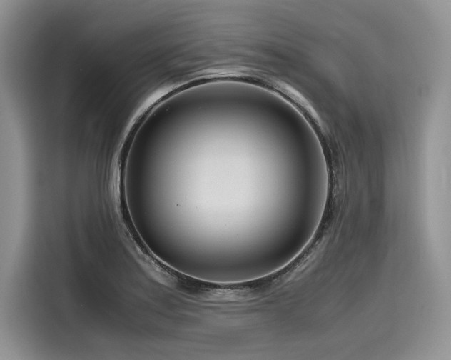 X0000116261179200911301147