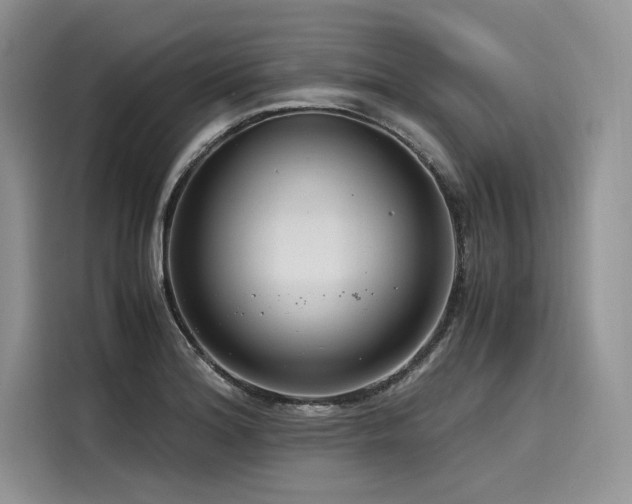 X0000116261180200911301147