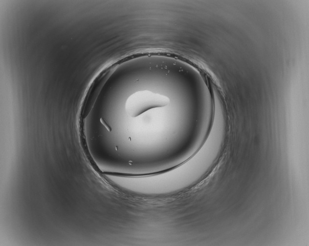 X0000116261181200911301147