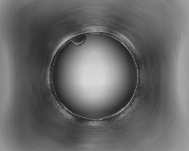 X0000116261182200911301147