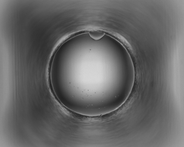 X0000116261183200911301147