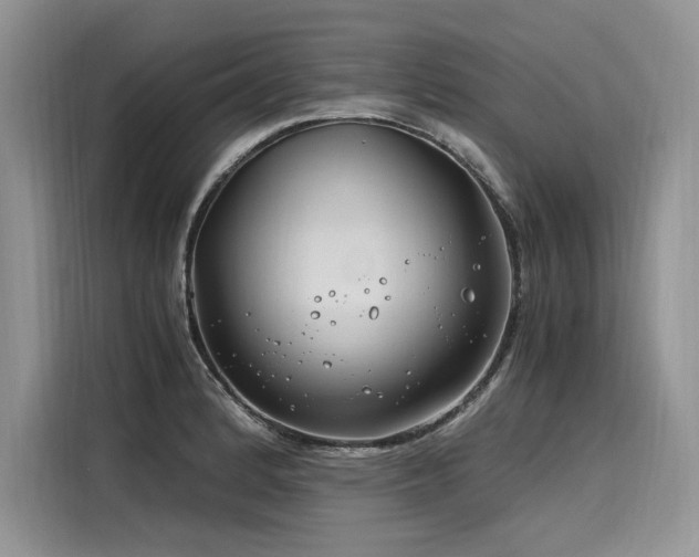 X0000116261184200911301147