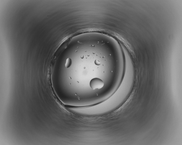 X0000116261185200911301147
