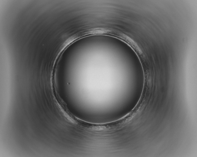 X0000116261186200911301147