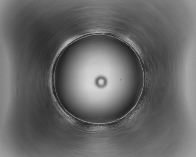 X0000116261187200911301147