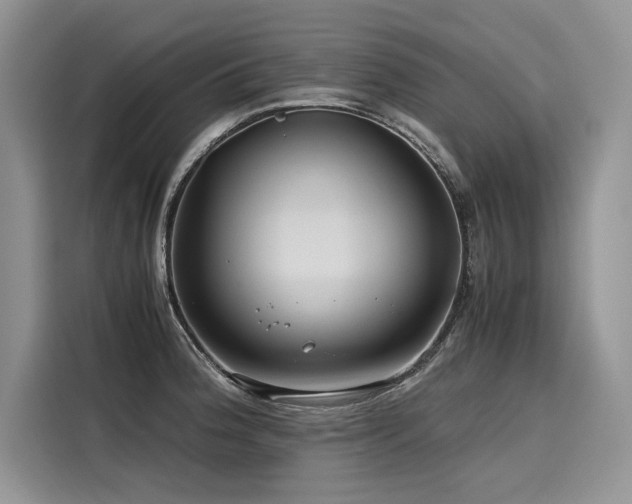 X0000116261188200911301147