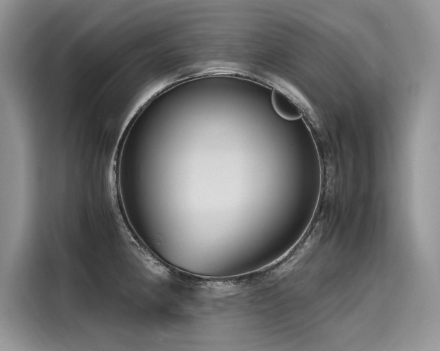 X0000116261190200911301147