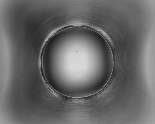 X0000116261191200911301147
