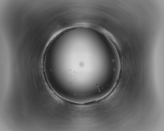 X0000116261192200911301147