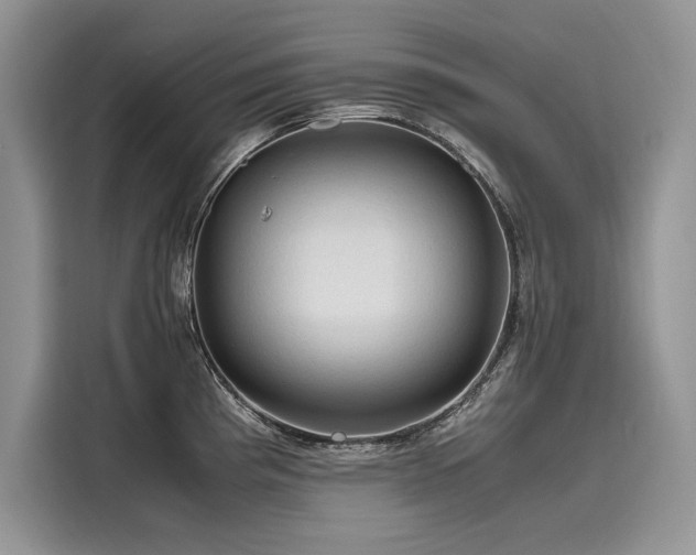 X0000116261193200911301147