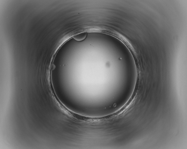 X0000116261194200911301147
