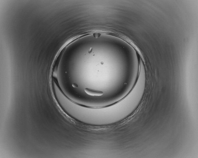 X0000116261195200911301147