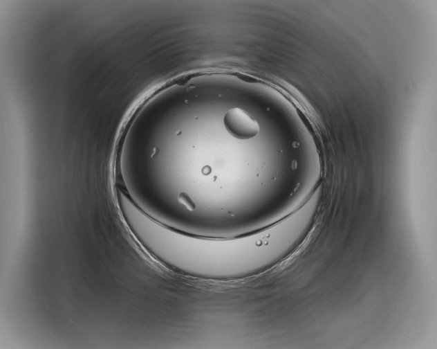 X0000116261196200911301147