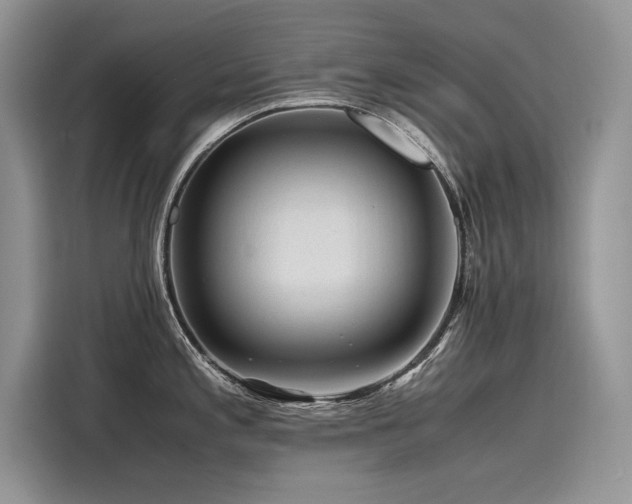 X0000116261197200911301147