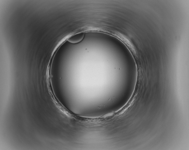 X0000116261198200911301147