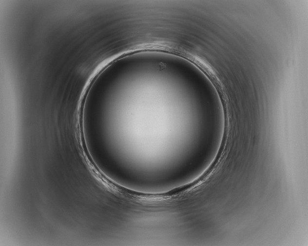 X0000116261200200911301147