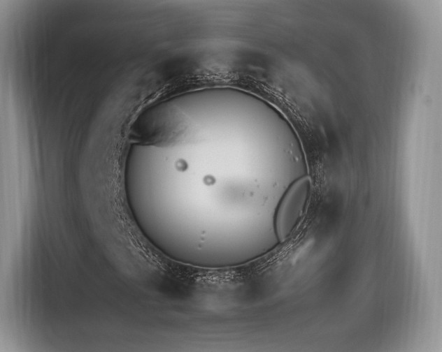 X0000116261201200911301146