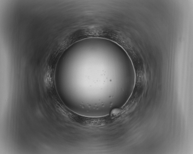 X0000116261202200911301146