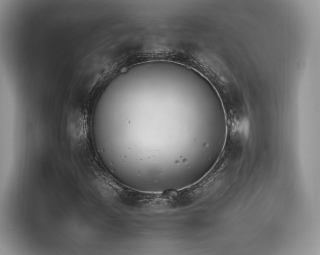 X0000116261204200911301146