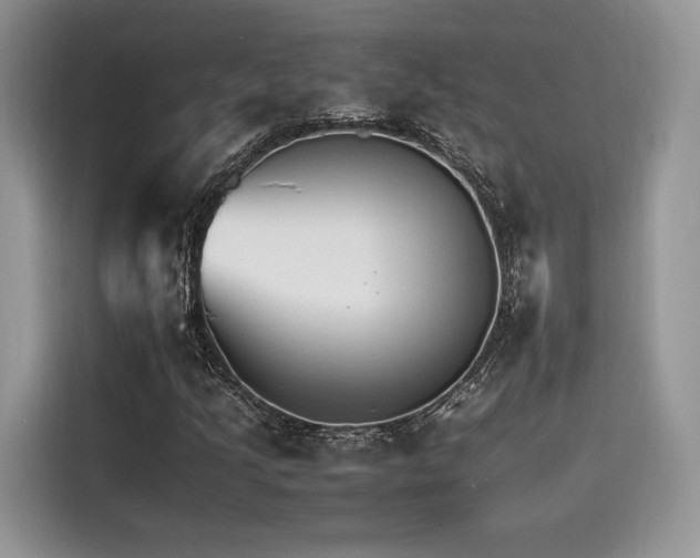 X0000116261205200911301146