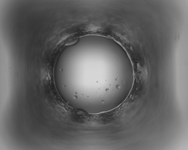 X0000116261206200911301146