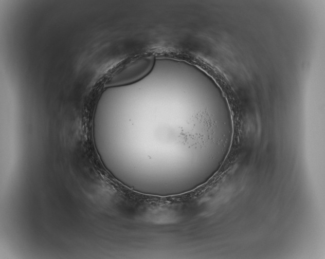 X0000116261207200911301146